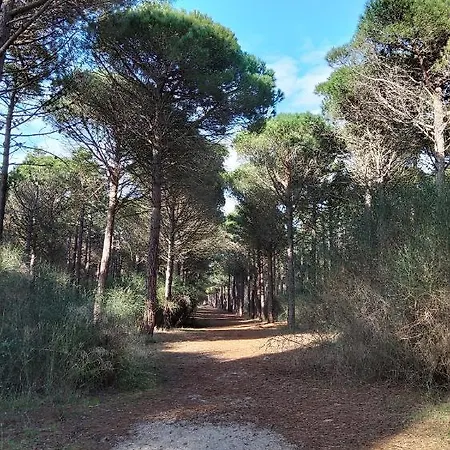 Dom wakacyjny La Catalane - Les Jardins Du Rivage - Wifi- Piscine *
