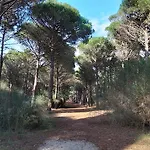 Ferienhaus La Catalane - Les Jardins Du Rivage - Wifi- Piscine *